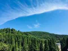 -武陵山森林公园
