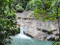 -广州白江湖森林公园