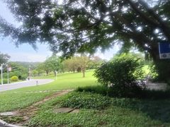 -东莞植物园