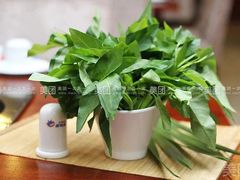 -芭夯兔(人和店)