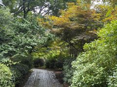 -雨花胜境