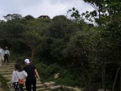-大姆山草场