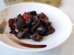 养生小木耳-骏莱海鲜鱼港(五角场店)