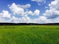 -塞罕坝国家级自然保护区