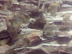 -多彩贵州城极地海洋世界