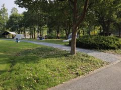 -贡湖湾湿地公园