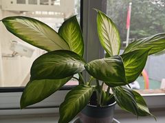 -北京市西城区洁民幼儿园