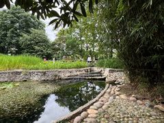 -成都市活水公园