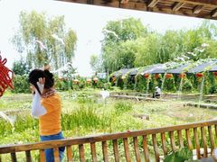 -同銮特种养殖场·龙虾垂钓