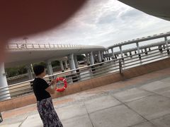 -演武大桥观景平台