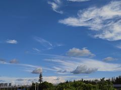 -宝安西湾红树林湿地公园