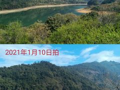 -广州市流溪河国家森林公园