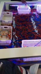 -孩子王(巴南万达广场店)