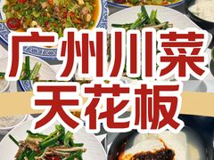 -新蜀会四川豆花(五羊店)