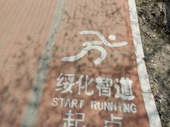 -绥化市森林植物园