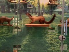 -下渚湖国家湿地公园科普馆