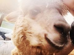 -老太婆饭店(广义路店)