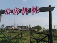 -田园东方蜜桃村的田野营地