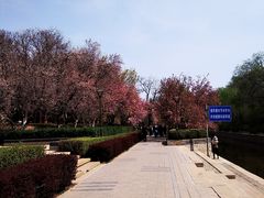 -元大都城垣遗址公园