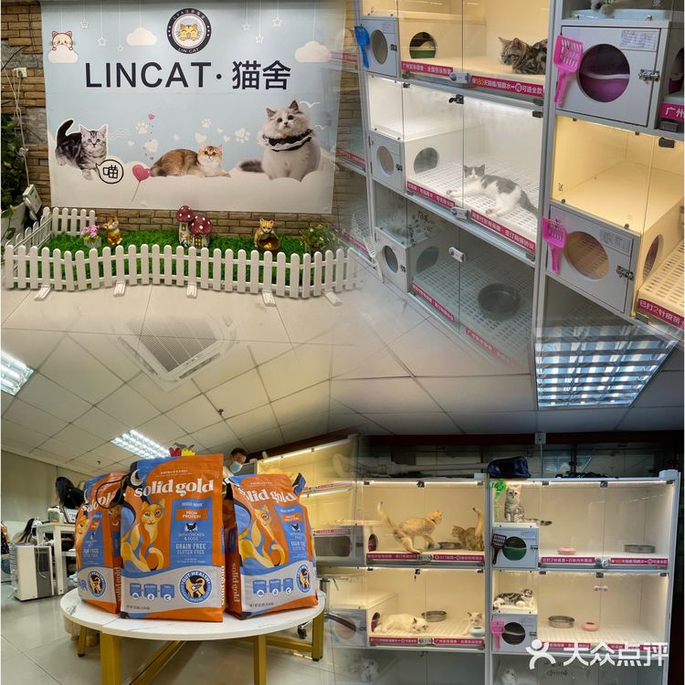 哗🙀全网no.1的猫舍原来在这里㊙️养猫有明灯🐈保180天