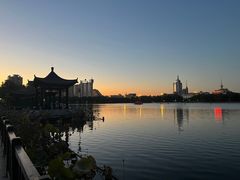 -莲花池公园