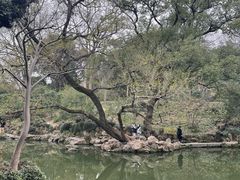 -惠山古镇·寄畅园