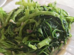 通菜-咏竹苑