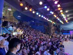 -烟台海昌鲸鲨海洋公园