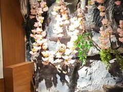 -青藤汗蒸时代会所