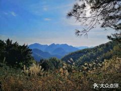 -四明山国家森林公园