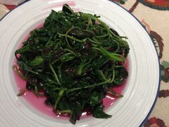 菊叶苋菜-吉事利茶餐厅