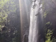 -莫里热带雨林景区