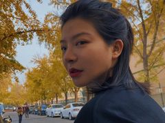 -三里屯东五街银杏大道