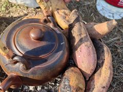 -汉长安城未央宫国家考古遗址公园