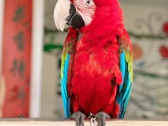 -南戴河国际娱乐中心