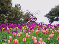 -长春公园(普阳街道)