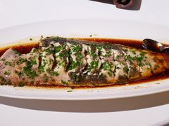 清蒸黄花鱼-止观小馆·辽河口渔家菜(王府井店)