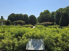 -郑州植物园