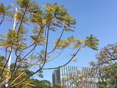 -海心沙亚运公园
