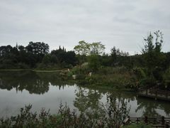 -桤木河湿地公园