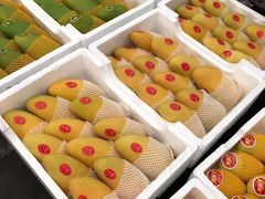 -西郊国际农产品交易中心