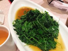 -天福苑(崇宁路店)