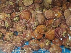 -和源祥·日照菜扛把子(万平口一店)