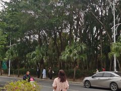 -亚龙湾海底世界