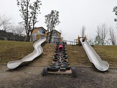 -铁山坪森林公园