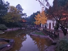 -富乐山