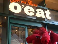 -O'eat Blossom&Pelican(深圳首店)