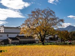 -塔川景区