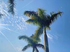 -演武大桥观景平台