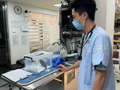 -立德动物医院·异宠·CT·鹦鹉(天河店)